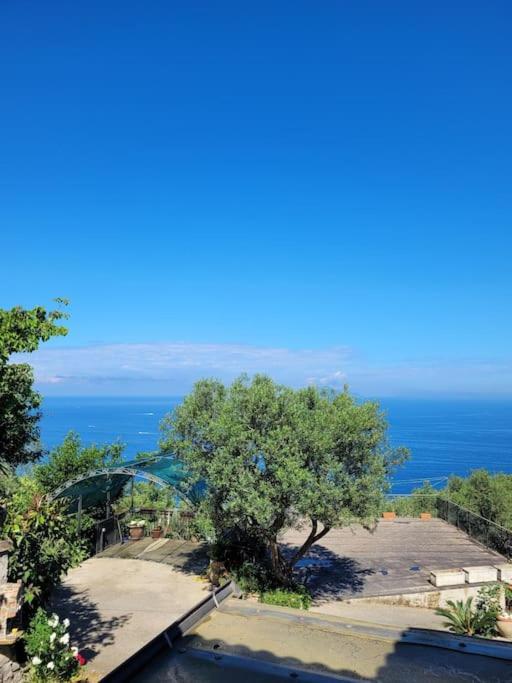 Sun & Relax, Relaxing Location With Seaview Villa Маса Лубрензе Екстериор снимка